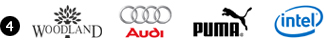 Combination Based Logos : Woodland, Audi, Puma & Intel