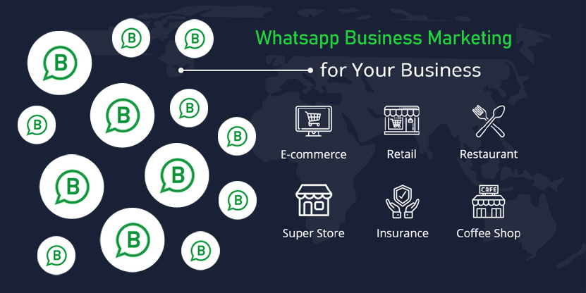Whatsapp Business Marketing